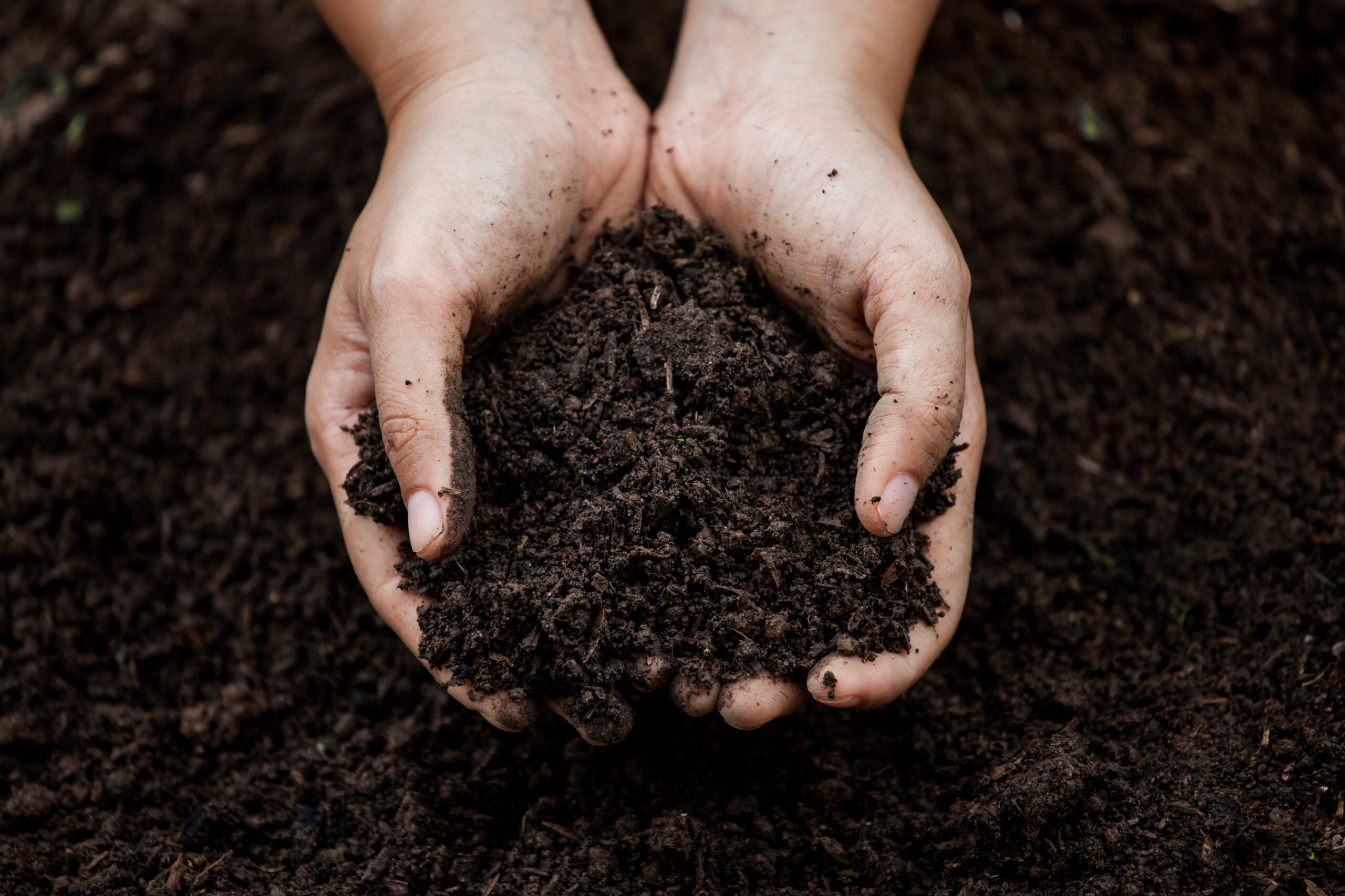 Two handfuls of compost soil over a compost bin